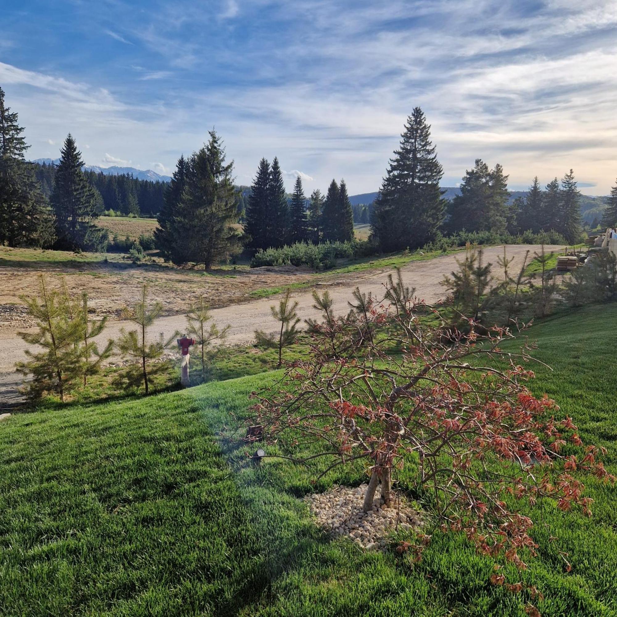 Albert Residence Aparthotel Grand Chalet With Free Spa Access To Alpin Resort Poiana Brasov Bagian luar foto